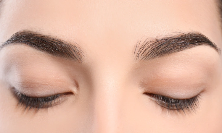 Eyebrow Transplant